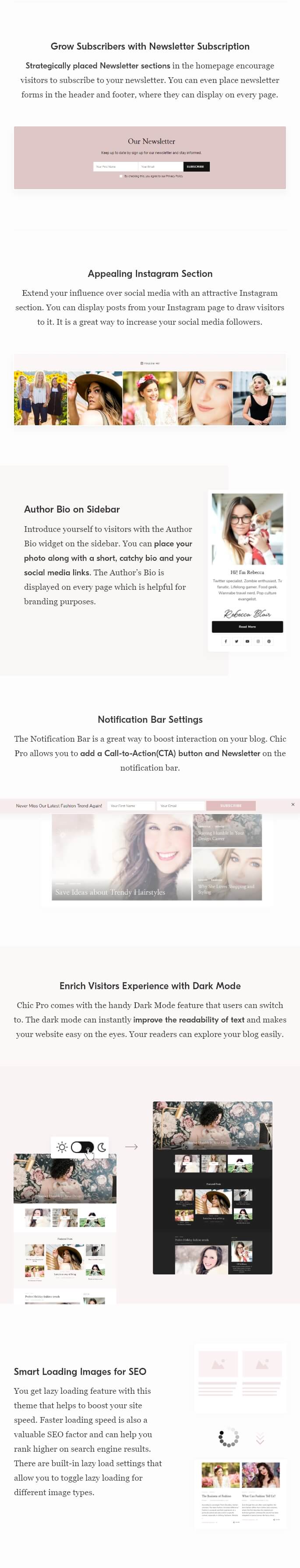 Features of Chic Pro WordPress Theme