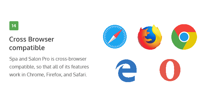 cross-browser compatibility of Spa and salon Pro