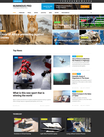 Numinous Pro wordpress theme