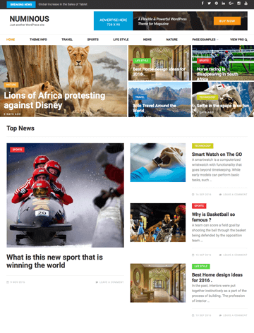 Numinous Pro wordpress theme